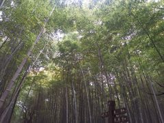 -宝岩生态观光园
