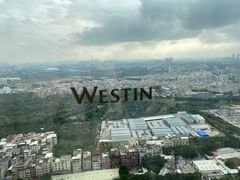 -广交会威斯汀酒店