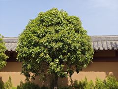 -中国汉城景区