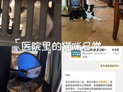 -联合动物医院(光谷诊疗中心)
