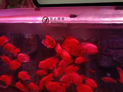 -泉城欧乐堡海洋极地世界