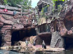 -长鹿旅游休博园