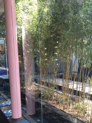 -爱儿美儿童摄影(朝阳公园店)