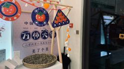 -三菩提科技美肤SPA