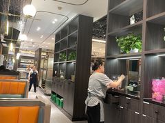 -刘胖子家常菜·蹄花焖藕(富安街店)