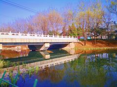 -大望京公园