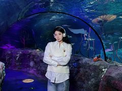 -沈阳海洋探索中心