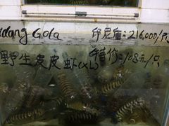 -海盗餐厅