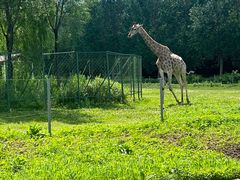 -哈尔滨北方森林动物园