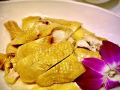 -鸽味轩·粤菜小馆(高楼门总店)