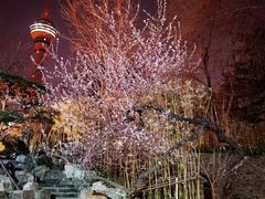 -中国人民解放军空军特色医学中心(空军总医院)
