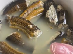 -上海市普陀区中心医院