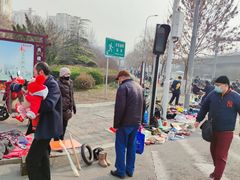 -中环花鸟鱼虫市场