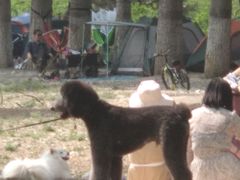 -东郊湿地公园