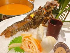 -喜聚薈·花膠雞海鮮火鍋(越秀店)