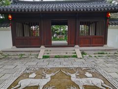 -江心屿景区