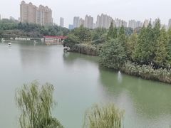 -青枫公园