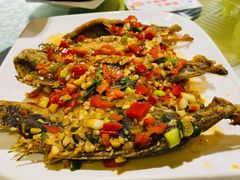 -荆楚兴源(含光路店)