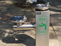 -广西壮族自治区药用植物园