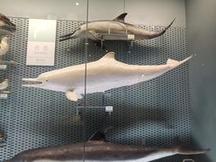 -浙江自然博物院(杭州馆)
