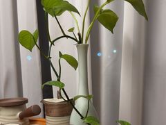 -兰亭茶叙(新新家苑店)