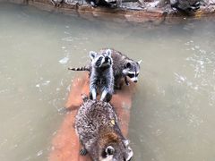 -长鹿旅游休博园