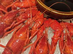 -江味龙虾馆·裸蓝龙虾(南山店)