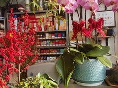 -FEI FEI FLOWER鲜花店·气球派对·宝宝宴布置(虹口德必运动Loft店)
