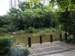 -新湖明珠城