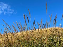 -萍乡武功山风景名胜区