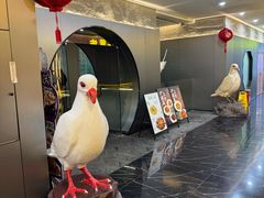 -琬苑鸽庄·川粤融合菜(解放碑总店)
