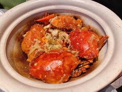 -柿合缘新京菜(国金中心商场店)