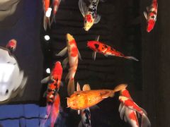 -苏州环秀晓筑养生度假村