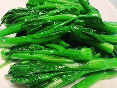 宁夏菜心-有心德(隆生店)