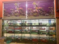 -三亚老渔民海鲜店