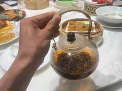 -点都德·毕德寮