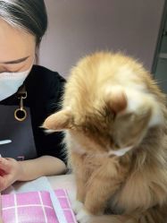 -JX今喜美甲美睫