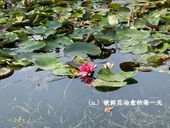 -洛带古镇