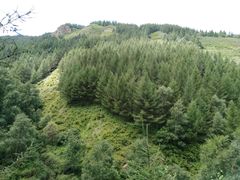 -苏木山森林公园