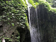 景点-青城后山