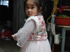 -东凤老字号腰子店