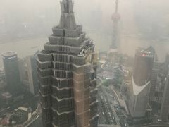 -上海柏悦酒店·世纪100牛排馆