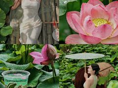 -花之城