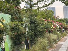 -南京国际青年文化中心