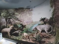 -湖南省地质博物馆