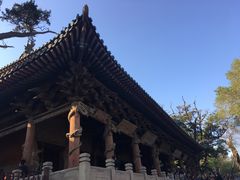 -晋祠公园