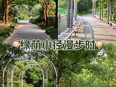 -黄兴公园