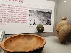 -北京大学赛克勒考古与艺术博物馆