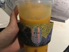-野萃山·潮汕厚果汁(十亩地店)