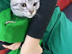 -瑞派天宁宠物医院·猫科·异宠中心